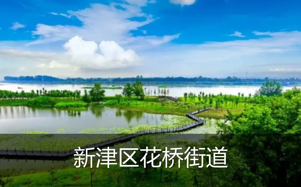 新津区花桥街道
