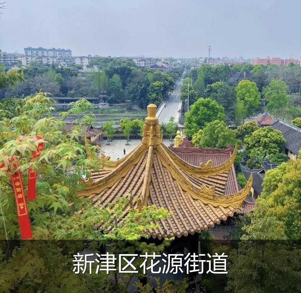 新津区花源街道